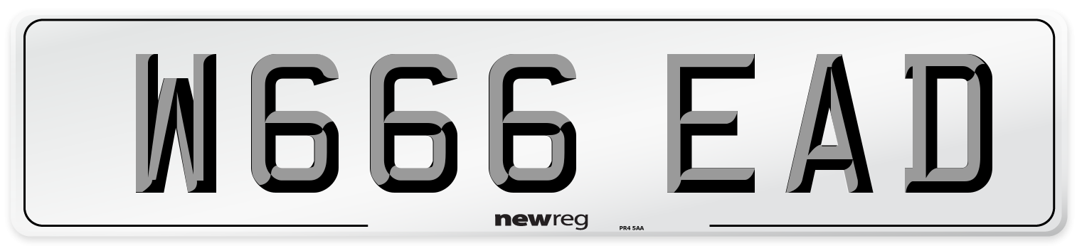 W666 EAD Number Plate from New Reg